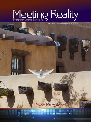 cover image of Meeting Reality